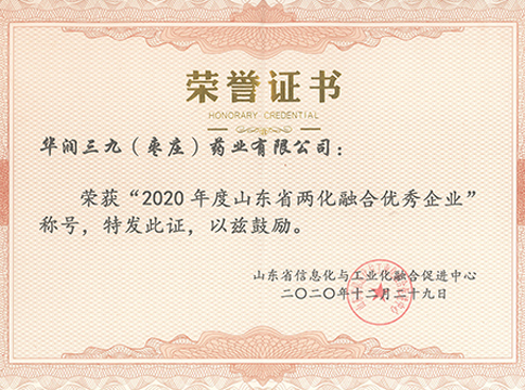 2020年度山東省兩化融合優(yōu)秀企業(yè)